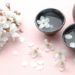 お花見に持って行くお酒のおすすめは？人気ランキングでご紹介！